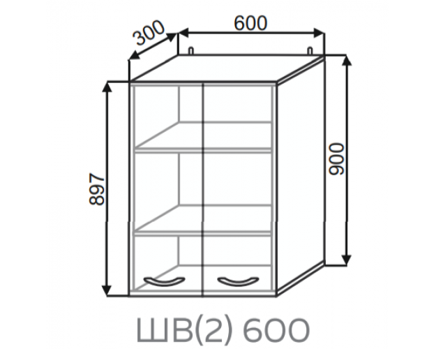 Шкаф ШВ2 600